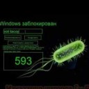 Принцип работы винлокеров.