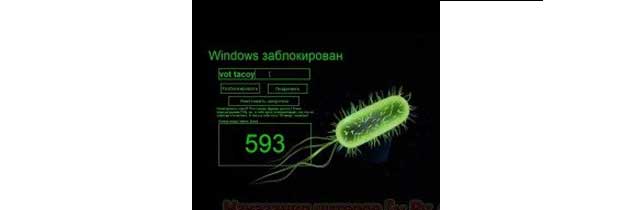 Принцип работы винлокеров.