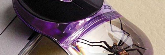 История появления компьютерной мышки