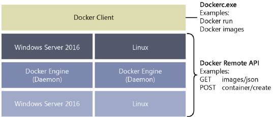 Docker_Windows_Linux