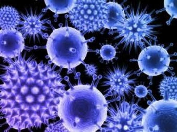 Какие бывают вирусы