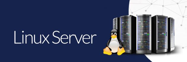 Плюсы сервера на Linux