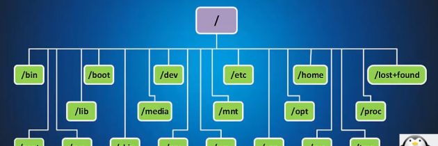Каталоги в Linux