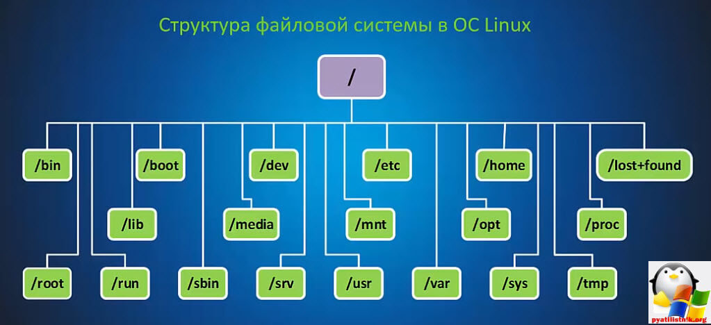 Структура каталогов в Linux