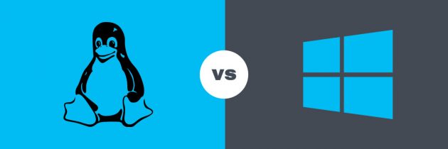 Установка Виндовс и Линукс на один ПК