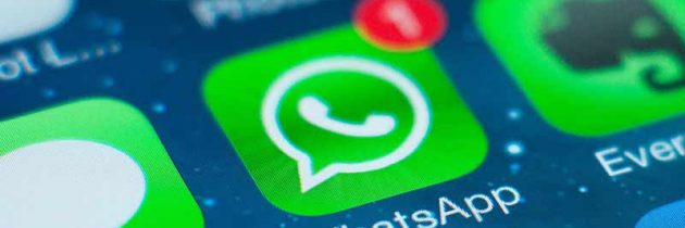 Программа Whatsapp – статусы.