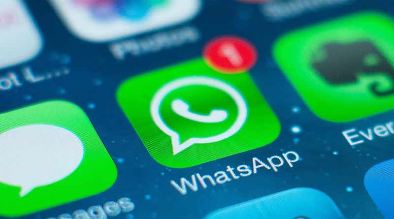 программа Whatsapp