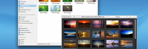 Особенности российской операционной системы «РОСА»