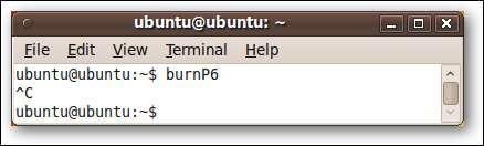 остановка_cpuburn