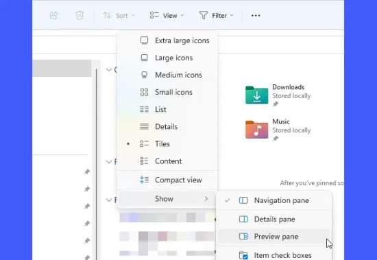 отключить_предварительный_просмотр